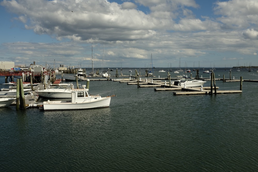 Rockland Harbor, late September